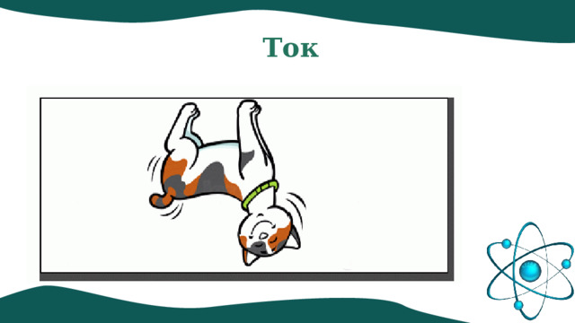 Ток 