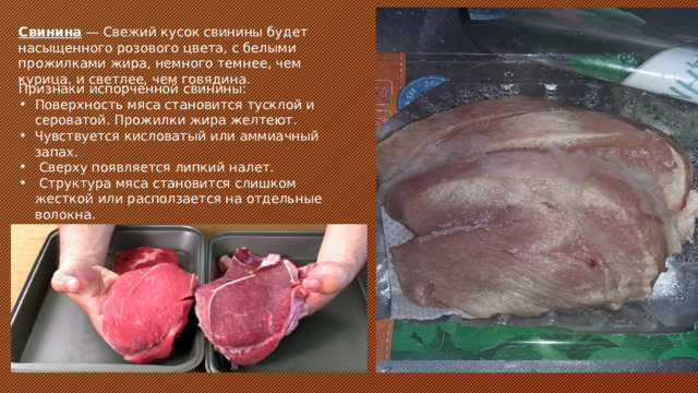 Свинина — Свежий кусок свинины будет насыщенного розового цвета, с белыми прожилками жира, немного темнее, чем курица, и светлее, чем говядина. Признаки испорченной свинины: Поверхность мяса становится тусклой и сероватой. Прожилки жира желтеют. Чувствуется кисловатый или аммиачный запах.  Сверху появляется липкий налет.  Структура мяса становится слишком жесткой или расползается на отдельные волокна.  При надавливании выделяется жидкость и остается вмятина. 