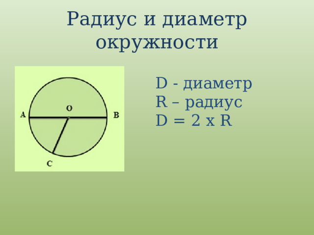 Радиус и диаметр окружности D - диаметр R – радиус D = 2 х R 