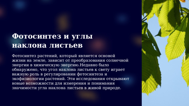 Фотосинтез и углы наклона листьев Фотосинтез растений, который является основой жизни на земле, зависит от преобразования солнечной энергии в химическую энергию.Недавно было обнаружено, что угол наклона листьев к свету играет важную роль в регулировании фотосинтеза и экофизиологии растений. Эти исследования открывают новые возможности для измерения и понимания значимости угла наклона листьев в живой природе.  
