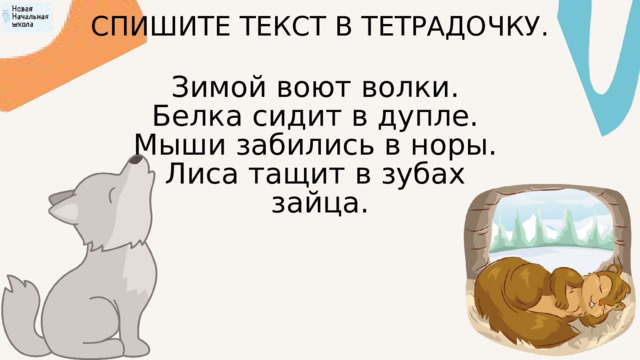 СПИШИТЕ ТЕКСТ В ТЕТРАДОЧКУ. Зимой воют волки. Белка сидит в дупле. Мыши забились в норы. Лиса тащит в зубах зайца. 
