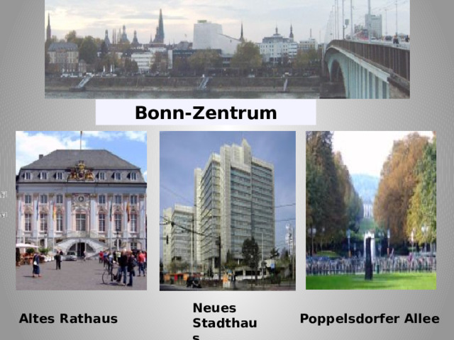Bonn-Zentrum Neues Stadthaus Altes Rathaus Poppelsdorfer Allee 