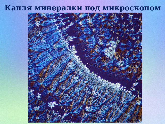 Капля минералки под микроскопом 