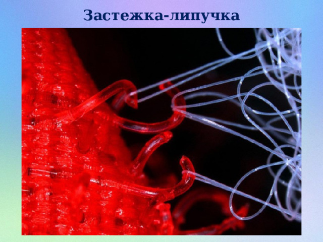 Застежка-липучка 