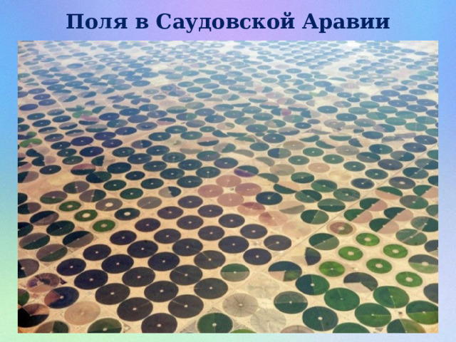 Поля в Саудовской Аравии 