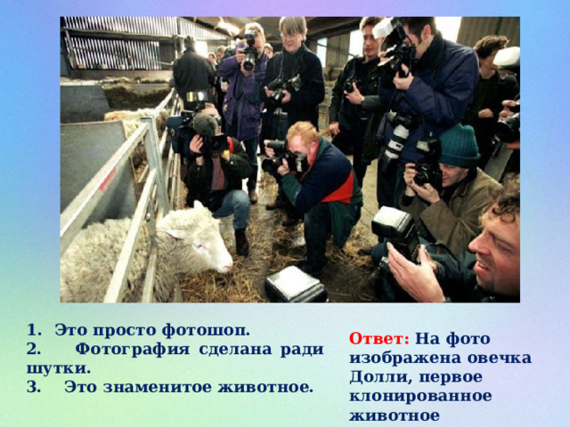 Это просто фотошоп. 2. Фотография сделана ради шутки. 3. Это знаменитое животное. Ответ: На фото изображена овечка Долли, первое клонированное животное 