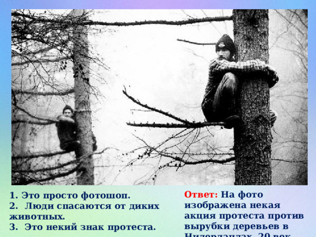 Ответ: На фото изображена некая акция протеста против вырубки деревьев в Нидерландах. 20 век. 1. Это просто фотошоп. 2. Люди спасаются от диких животных. 3. Это некий знак протеста. 