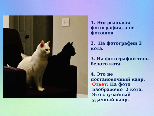 1. Это реальная фотография, а не фотошоп  2. На фотографии 2 кота.  3. На фотографии тень белого кота.  4. Это не постановочный кадр. Ответ: На фото изображено 2 кота. Это случайный удачный кадр. 