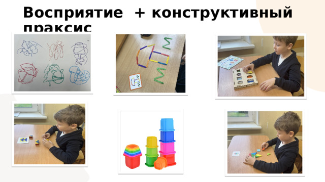 Восприятие + конструктивный праксис 