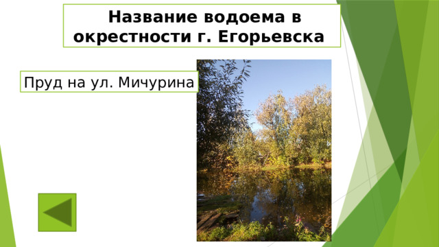  Название водоема в окрестности г. Егорьевска Пруд на ул. Мичурина 