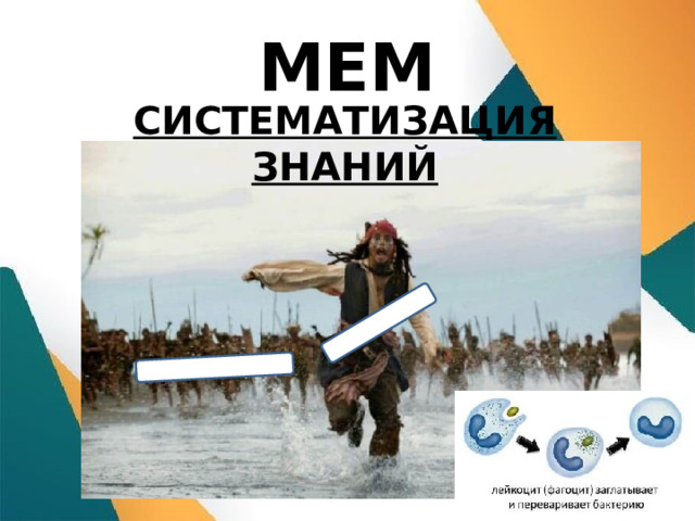 МЕМ СИСТЕМАТИЗАЦИЯ ЗНАНИЙ  
