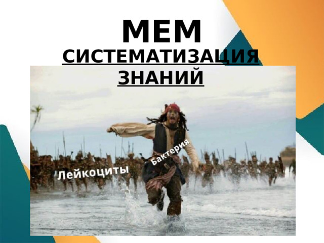 МЕМ СИСТЕМАТИЗАЦИЯ ЗНАНИЙ  