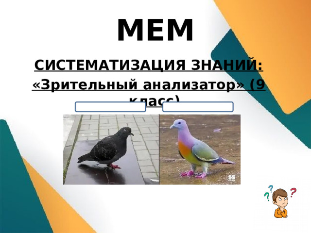 МЕМ СИСТЕМАТИЗАЦИЯ ЗНАНИЙ: «Зрительный анализатор» (9 класс)  