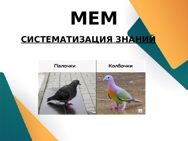 МЕМ СИСТЕМАТИЗАЦИЯ ЗНАНИЙ  