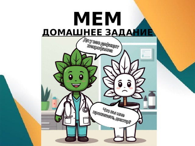 МЕМ ДОМАШНЕЕ ЗАДАНИЕ  