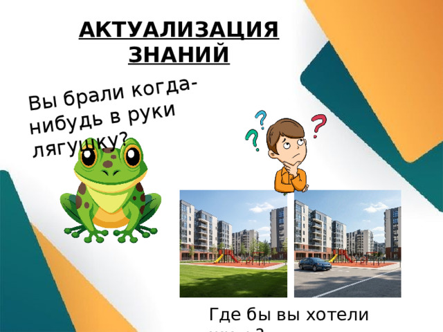  Вы брали когда-нибудь в руки лягушку? АКТУАЛИЗАЦИЯ ЗНАНИЙ Где бы вы хотели жить? 