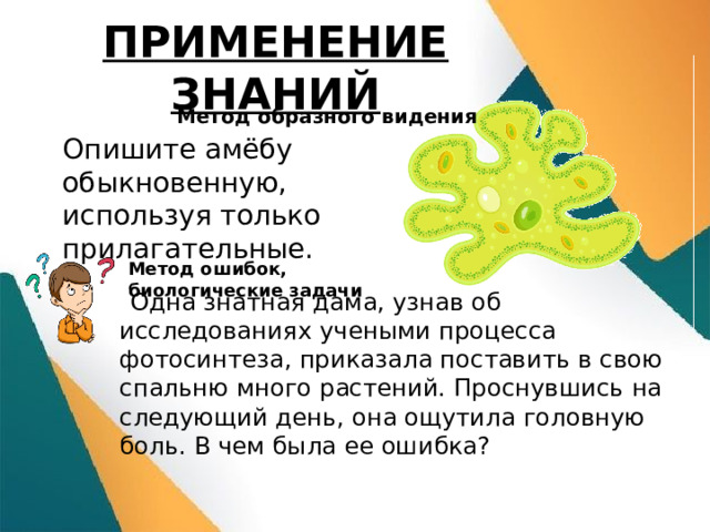 ПРИМЕНЕНИЕ ЗНАНИЙ Метод образного видения Опишите амёбу обыкновенную, используя только прилагательные. Метод ошибок, биологические задачи  Одна знатная дама, узнав об исследованиях учеными процесса фотосинтеза, приказала поставить в свою спальню много растений. Проснувшись на следующий день, она ощутила головную боль. В чем была ее ошибка? 