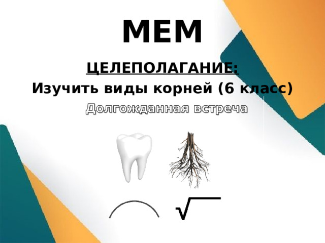 МЕМ ЦЕЛЕПОЛАГАНИЕ: Изучить виды корней (6 класс) 