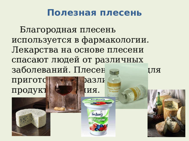 Полезная плесень    Благородная плесень используется в фармакологии. Лекарства на основе плесени спасают людей от различных заболеваний. Плесень нужна для приготовления различных продуктов питания. 
