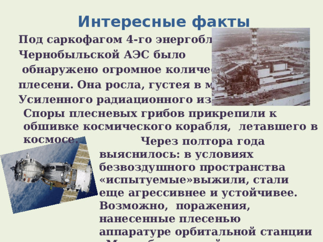  Интересные факты   Под саркофагом 4-го энергоблока Чернобыльской АЭС было  обнаружено огромное количество плесени. Она росла, густея в местах Усиленного радиационного излучении. Споры плесневых грибов прикрепили к обшивке космического корабля, летавшего в космосе.  Через полтора года выяснилось: в условиях безвоздушного пространства «испытуемые»выжили, стали еще агрессивнее и устойчивее. Возможно, поражения, нанесенные плесенью аппаратуре орбитальной станции «Мир», были одной из причин ее затопления . 