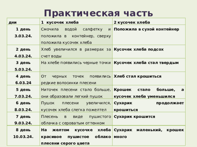 Практическая часть   дни 1 кусочек хлеба 1 день 3.03.24. 2 кусочек хлеба Смочила водой салфетку и положила в контейнер, сверху положила кусочек хлеба 2 день 4.03.24. Положила в сухой контейнер Хлеб увеличился в размерах за счет воды 3 день 5.03.24. Кусочек хлеба подсох На хлебе появились черные точки 4 день 6.03.24 5 день 7.03.24. От черных точек появились редкие волосинки плесени Кусочек хлеба стал твердым Хлеб стал крошиться Ниточек плесени стало больше, они образовали легкий пушок 6 день 8.03.24. Крошек стало больше, а кусочек хлеба уменьшился Пушок плесени увеличился, кусочек хлеба слегка пожелтел 7 день 9.03.24. Сухарик продолжает крошиться Плесень в виде пушистого облачка с сероватым оттенком 8 день 10.03.24. Сухарик крошится На желтом кусочке хлеба красивое пушистое облако плесени серого цвета Сухарик маленький, крошек много 