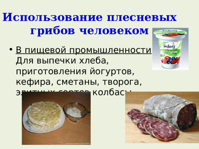 Использование плесневых грибов человеком В пищевой промышленности . Для выпечки хлеба, приготовления йогуртов, кефира, сметаны, творога, элитных сортов колбасы. 