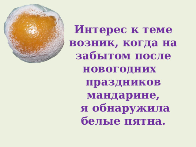 Интерес к теме возник, когда на забытом после новогодних  праздников мандарине,  я обнаружила белые пятна. 
