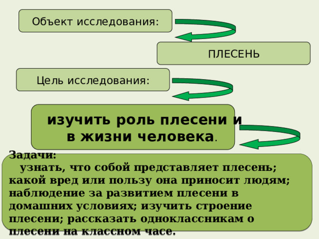 Объект исследования: ПЛЕСЕНЬ Цель исследования:  изучить роль плесени и в жизни человека .  Задачи:  узнать, что собой представляет плесень; какой вред или пользу она приносит людям; наблюдение за развитием плесени в домашних условиях; изучить строение плесени; рассказать одноклассникам о плесени на классном часе.  