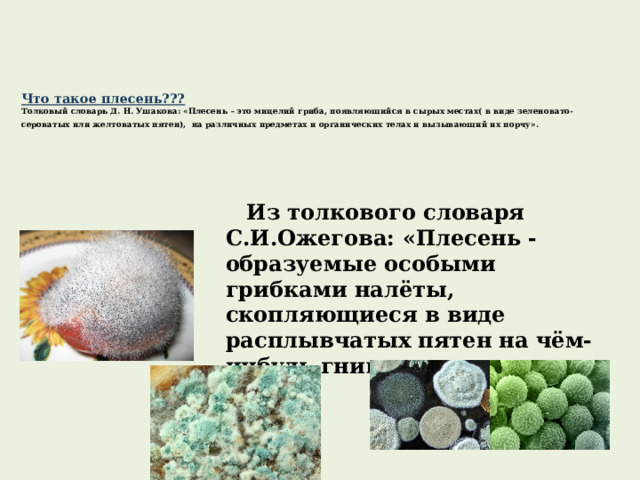  Что такое плесень???  Толковый словарь Д. Н. Ушакова: «Плесень – это мицелий гриба, появляющийся в сырых местах( в виде зеленовато-сероватых или желтоватых пятен), на различных предметах и органических телах и вызывающий их порчу».     Из толкового словаря С.И.Ожегова: «Плесень - образуемые особыми грибками налёты, скопляющиеся в виде расплывчатых пятен на чём-нибудь гниющем, сыром». 