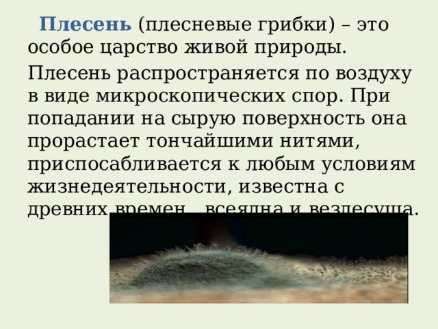  Плесень (плесневые грибки) – это особое царство живой природы. Плесень распространяется по воздуху в виде микроскопических спор. При попадании на сырую поверхность она прорастает тончайшими нитями, приспосабливается к любым условиям жизнедеятельности, известна с древних времен, всеядна и вездесуща. 