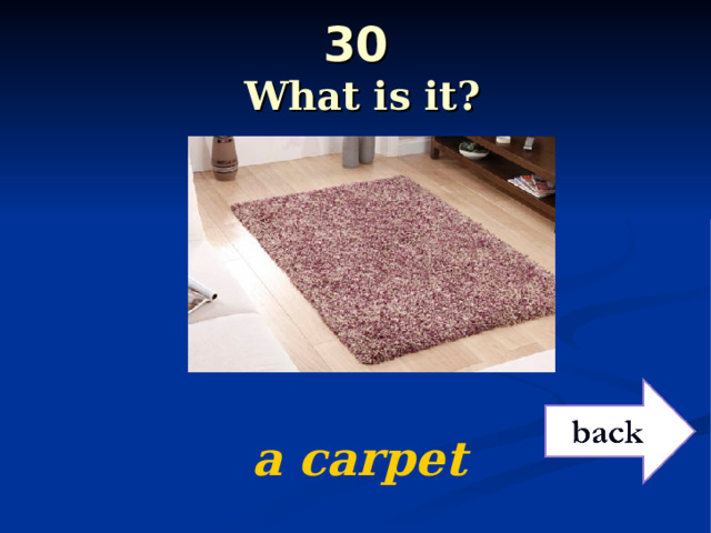 30   What is it?   a carpet 