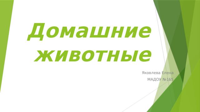 Домашние животные Яковлева Елена МАДОУ №165 