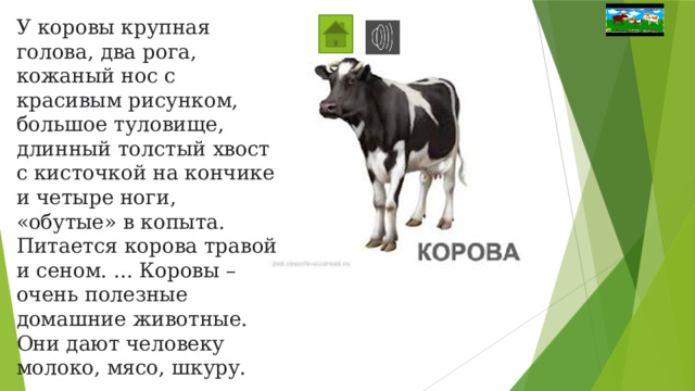 У коровы крупная голова, два рога, кожаный нос с красивым рисунком, большое туловище, длинный толстый хвост с кисточкой на кончике и четыре ноги, «обутые» в копыта. Питается корова травой и сеном. ... Коровы – очень полезные домашние животные. Они дают человеку молоко, мясо, шкуру. 