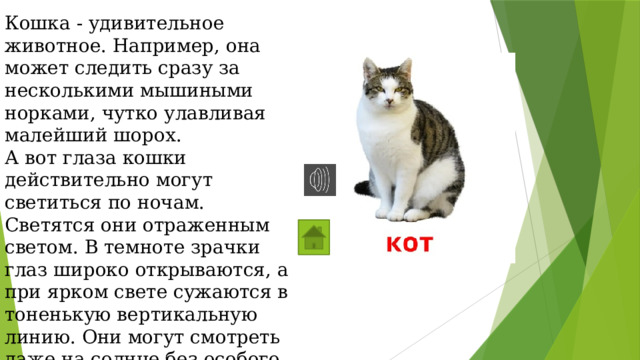 Кошка - удивительное животное. Например, она может следить сразу за несколькими мышиными норками, чутко улавливая малейший шорох. А вот глаза кошки действительно могут светиться по ночам. Светятся они отраженным светом. В темноте зрачки глаз широко открываются, а при ярком свете сужаются в тоненькую вертикальную линию. Они могут смотреть даже на солнце без особого вреда для глаз. 
