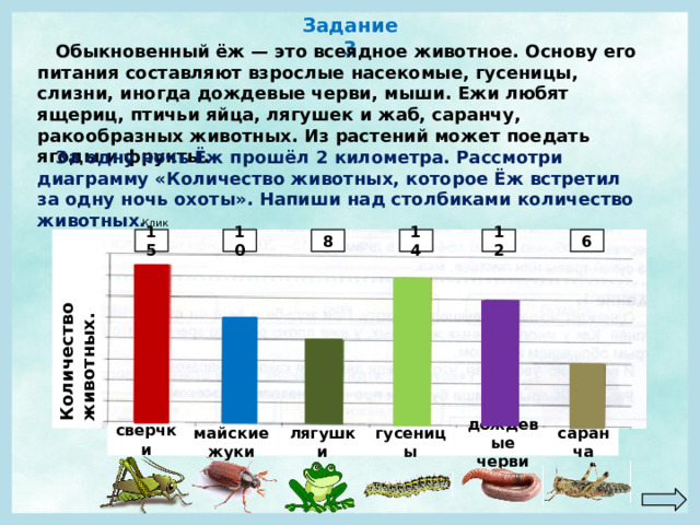 Количество животных. Задание 3  Обыкновенный ёж — это всеядное животное. Основу его питания составляют взрослые насекомые, гусеницы, слизни, иногда дождевые черви, мыши. Ежи любят ящериц, птичьи яйца, лягушек и жаб, саранчу, ракообразных животных. Из растений может поедать ягоды и фрукты.  За одну ночь Ёж прошёл 2 километра. Рассмотри диаграмму «Количество животных, которое Ёж встретил за одну ночь охоты». Напиши над столбиками количество животных. Клик! 14 6 12 8 10 15 сверчки дождевые черви саранча гусеницы лягушки майские жуки  