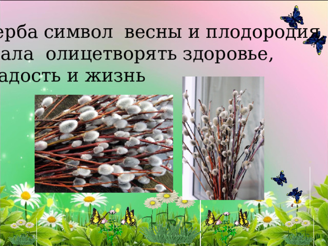  Верба символ весны и плодородия, стала олицетворять здоровье,  радость и жизнь 
