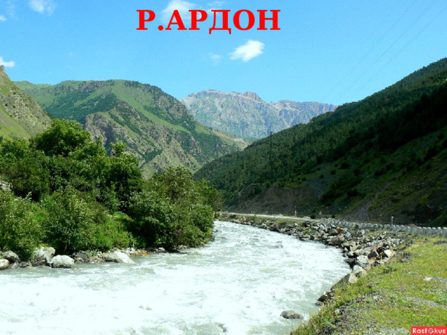 Р.АРДОН 