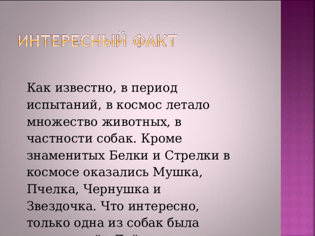 Как известно, в период испытаний, в космос летало множество животных, в частности собак. Кроме знаменитых Белки и Стрелки в космосе оказались Мушка, Пчелка, Чернушка и Звездочка. Что интересно, только одна из собак была породистой - Лайка, остальные были обычными дворняжками. 
