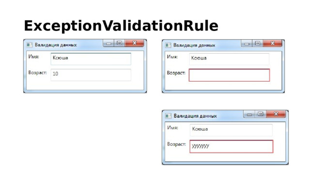 ExceptionValidationRule 