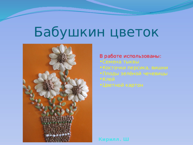 Бабушкин цветок В работе использованы: Семена тыквы Косточки персика, вишни Плоды зелёной чечевицы Клей Цветной картон Кирилл. Ш 