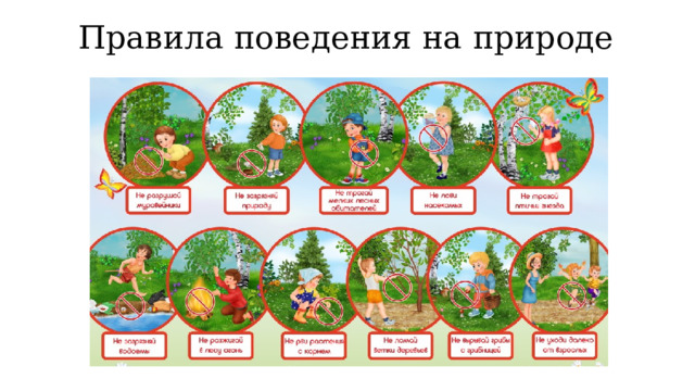 Правила поведения на природе 