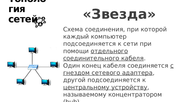 «Звезда» Топология сетей Схема соединения, при которой каждый компьютер подсоединяется к сети при помощи отдельного соединительного кабеля . Один конец кабеля соединяется с гнездом сетевого адаптера , другой подсоединяется к центральному устройству , называемому концентратором (hub). Одна из наиболее распространённых топологий, поскольку проста в обслуживании. 12 