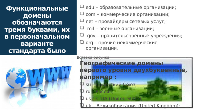 Функциональные домены обозначаются тремя буквами, их в первоначальном варианте стандарта было всего шесть: edu – образовательные организации; com – коммерческие организации; net – провайдеры сетевых услуг;  mil – военные организации;  gov – правительственные учреждения; org – прочие некоммерческие организации. Географические домены первого уровня двухбуквенные, например : su – Советский Союз; ru – Россия; us – США (United State); uk – Великобритания (United Kingdom); Вставка рисунка 