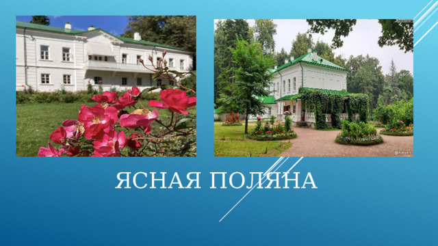 ЯСНАЯ ПОЛЯНА 