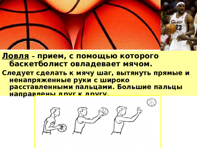 Ловля  – прием, с помощью которого баскетболист овладевает мячом. Следует сделать к мячу шаг, вытянуть прямые и ненапряженные руки с широко расставленными пальцами. Большие пальцы направлены друг к другу. 