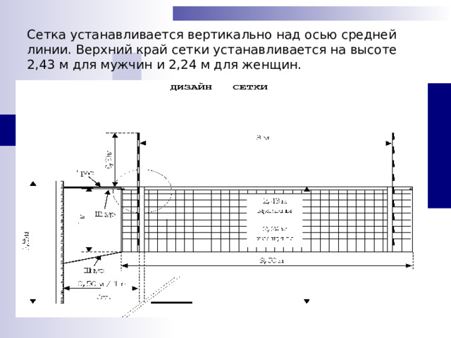 Сетка устанавливается вертикально над осью средней линии. Верхний край сетки устанавливается на высоте 2,43 м для мужчин и 2,24 м для женщин.   