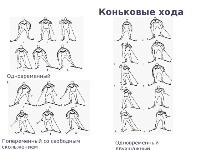 Коньковые хода Одновременный одношажный Попеременный со свободным скольжением Одновременный двухшажный 