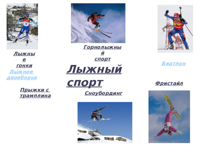 Горнолыжный спорт Лыжные гонки Биатлон Лыжный спорт Лыжное двоеборье Фристайл Прыжки с трамплина Сноубординг 