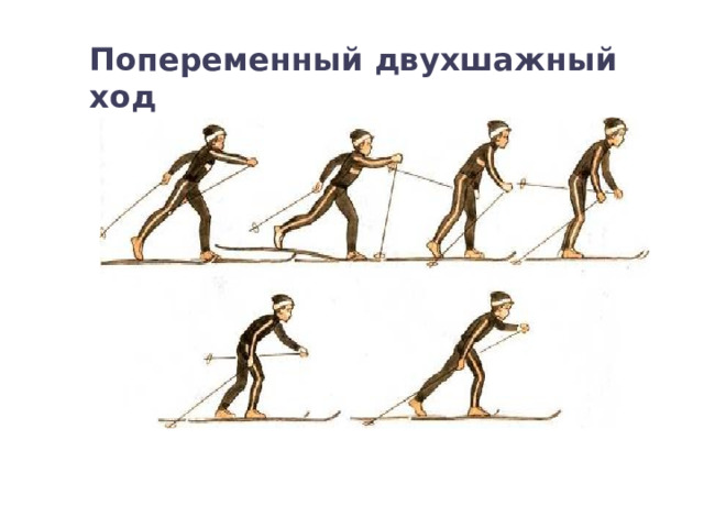 Попеременный двухшажный ход 