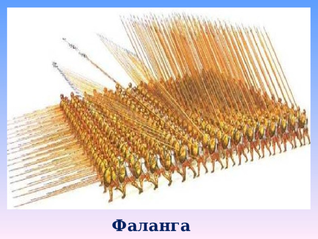 Фаланга 